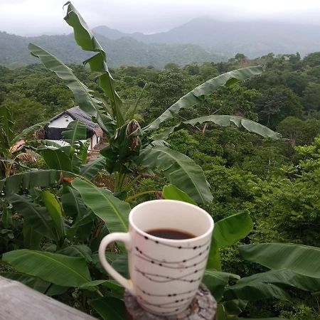 Hostal Mirador Dentro Del Parque Tayrona エル・ザイノ エクステリア 写真
