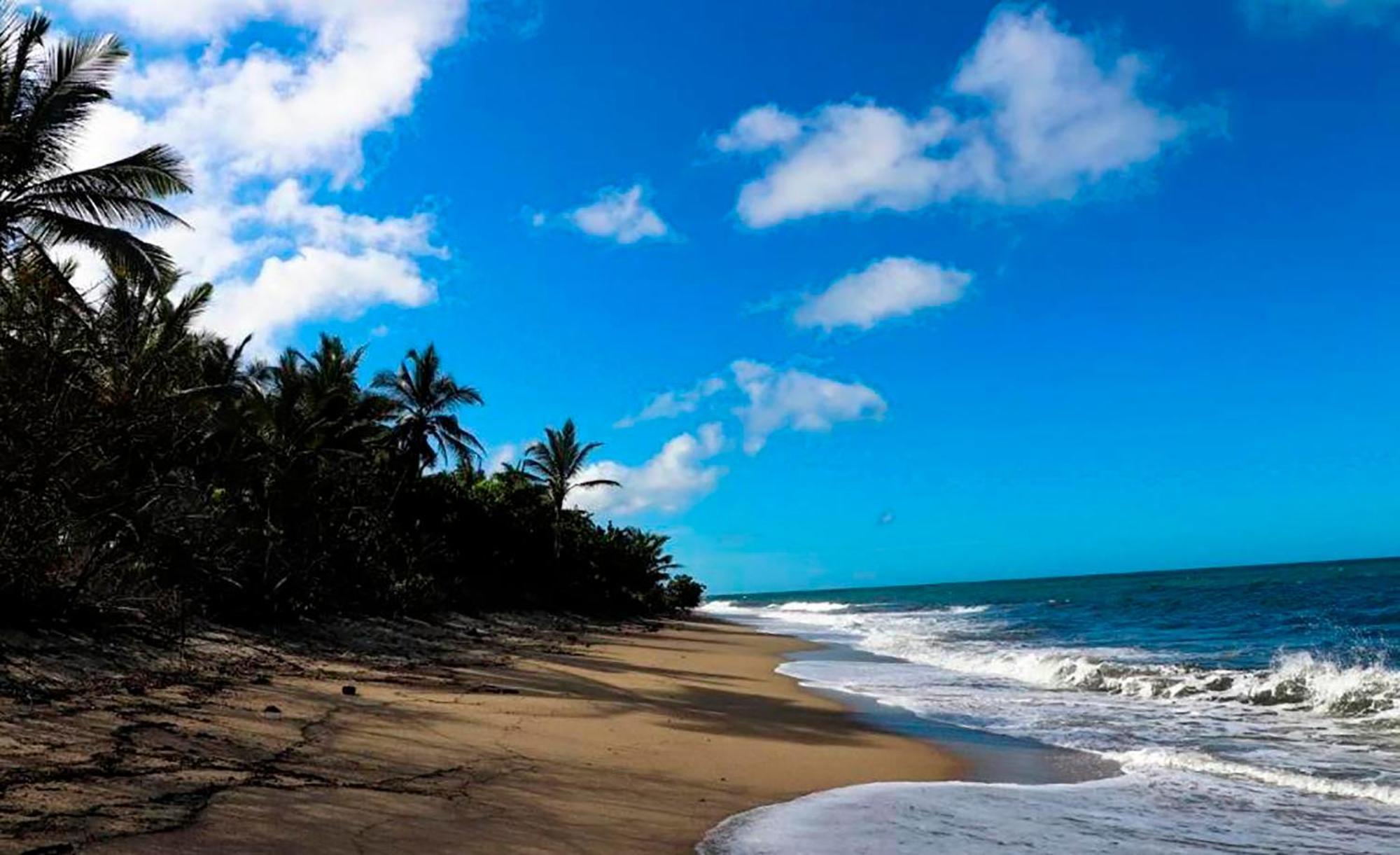 Hostal Mirador Dentro Del Parque Tayrona エル・ザイノ エクステリア 写真
