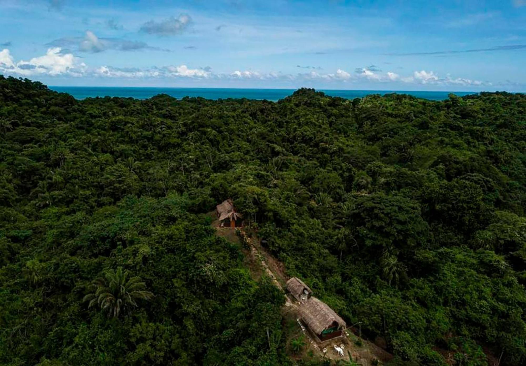 Hostal Mirador Dentro Del Parque Tayrona エル・ザイノ エクステリア 写真