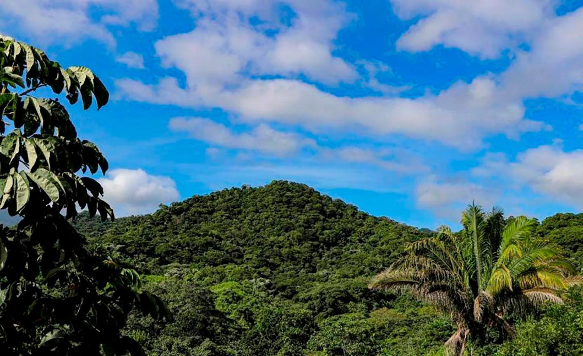 Hostal Mirador Dentro Del Parque Tayrona エル・ザイノ エクステリア 写真