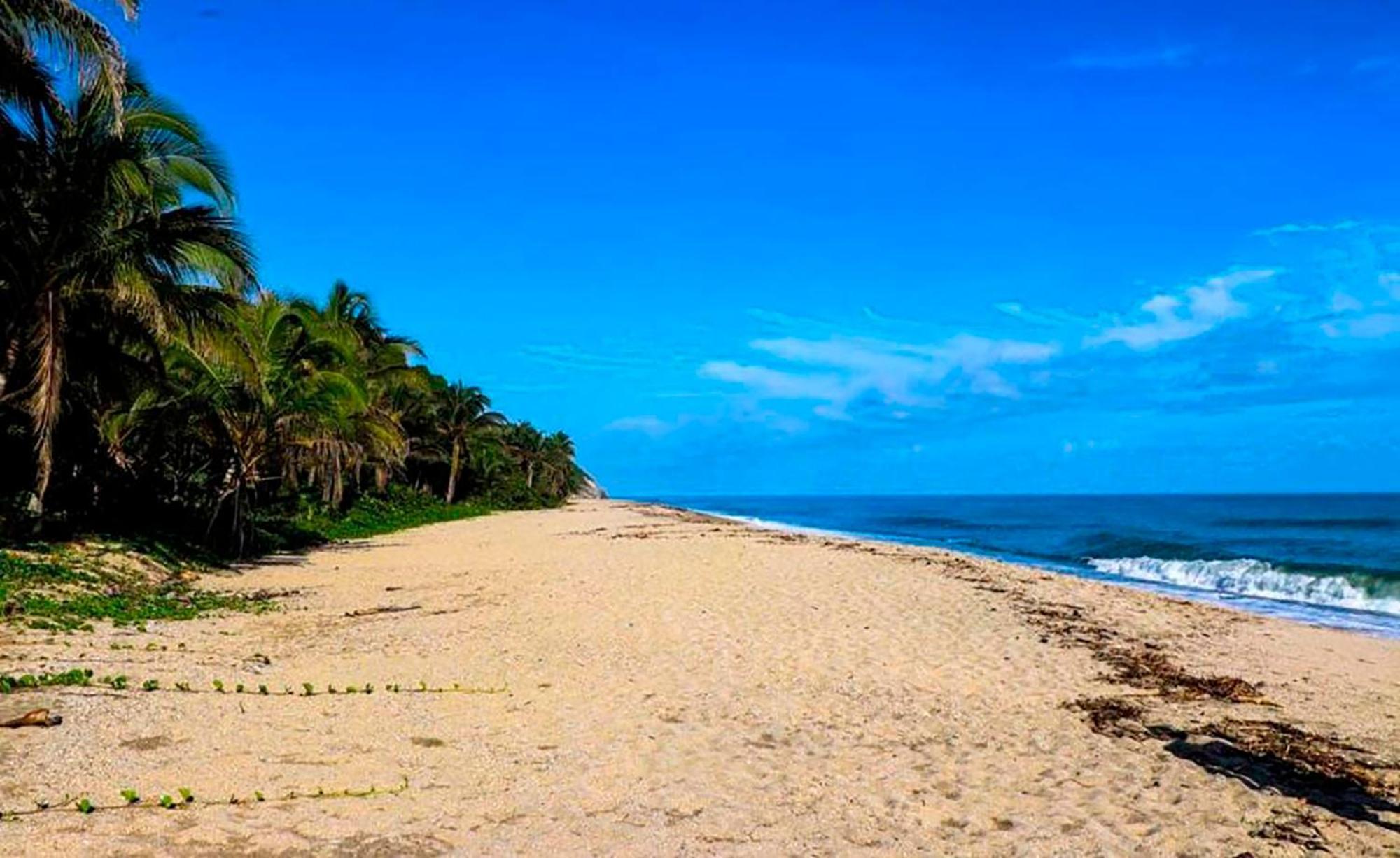 Hostal Mirador Dentro Del Parque Tayrona エル・ザイノ エクステリア 写真