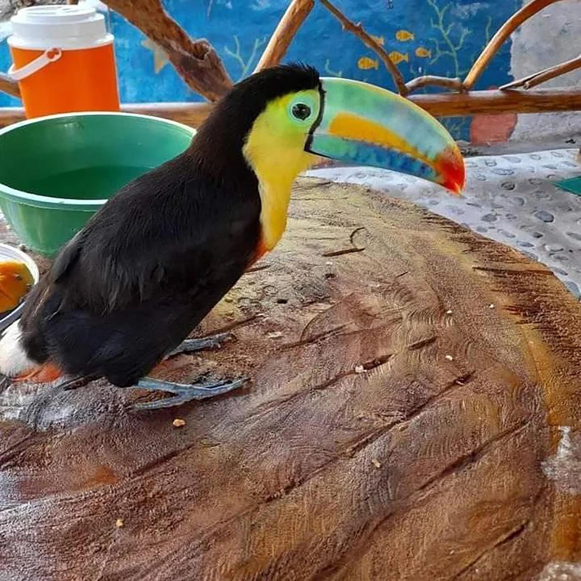 Hostal Mirador Dentro Del Parque Tayrona エル・ザイノ エクステリア 写真