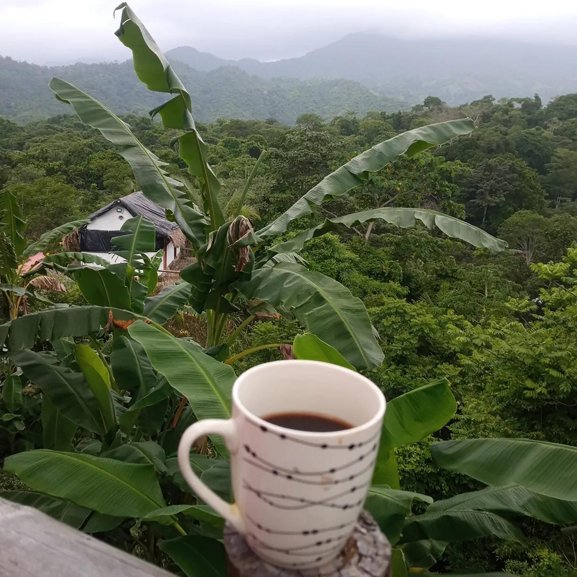 Hostal Mirador Dentro Del Parque Tayrona エル・ザイノ エクステリア 写真