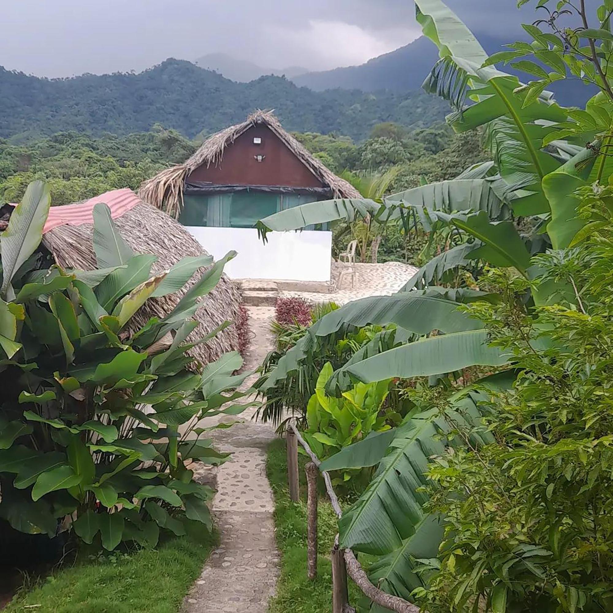 Hostal Mirador Dentro Del Parque Tayrona エル・ザイノ エクステリア 写真