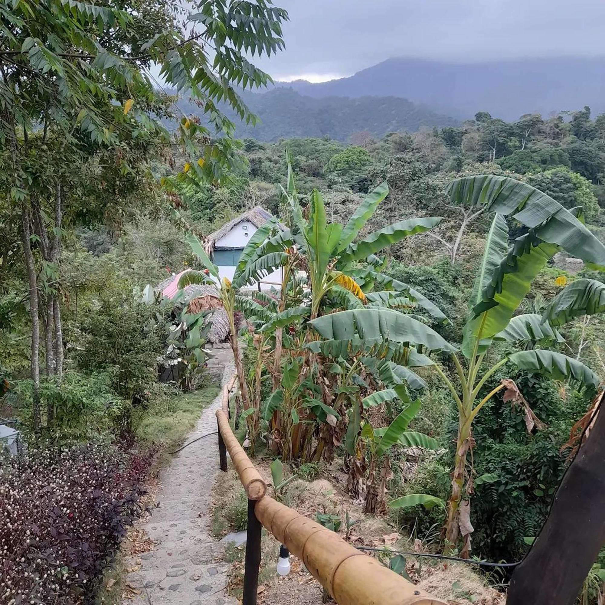 Hostal Mirador Dentro Del Parque Tayrona エル・ザイノ エクステリア 写真