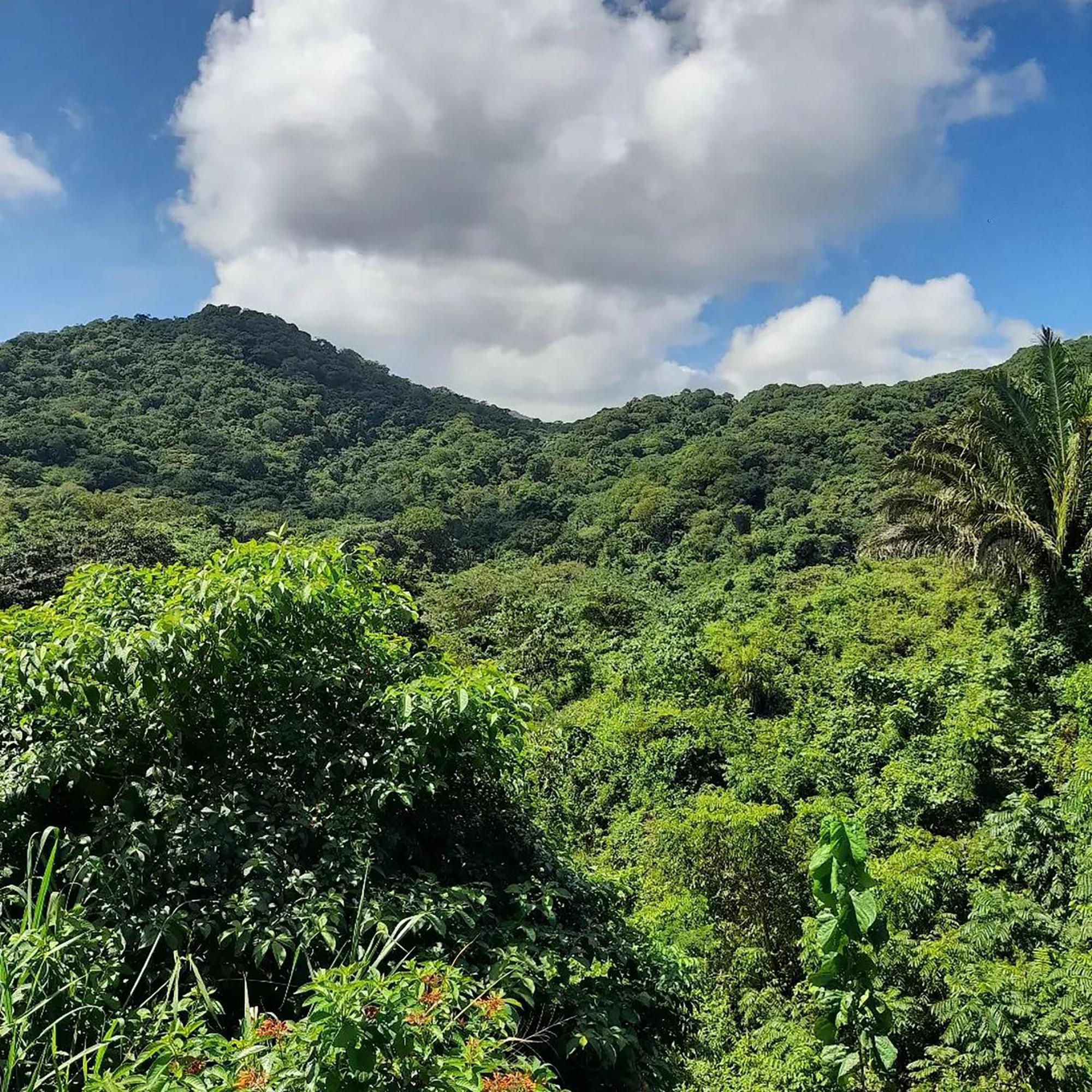 Hostal Mirador Dentro Del Parque Tayrona エル・ザイノ エクステリア 写真
