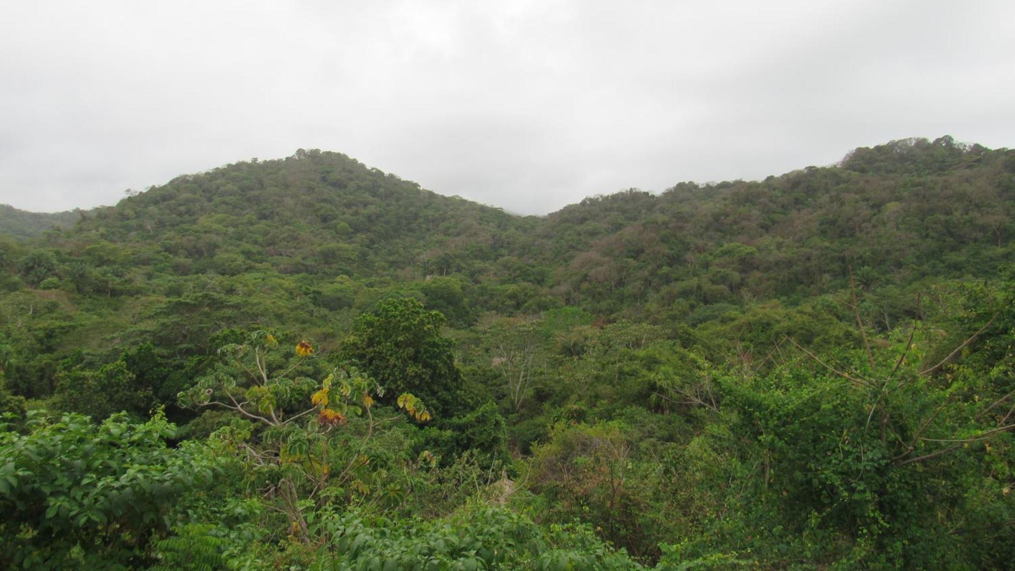 Hostal Mirador Dentro Del Parque Tayrona エル・ザイノ エクステリア 写真