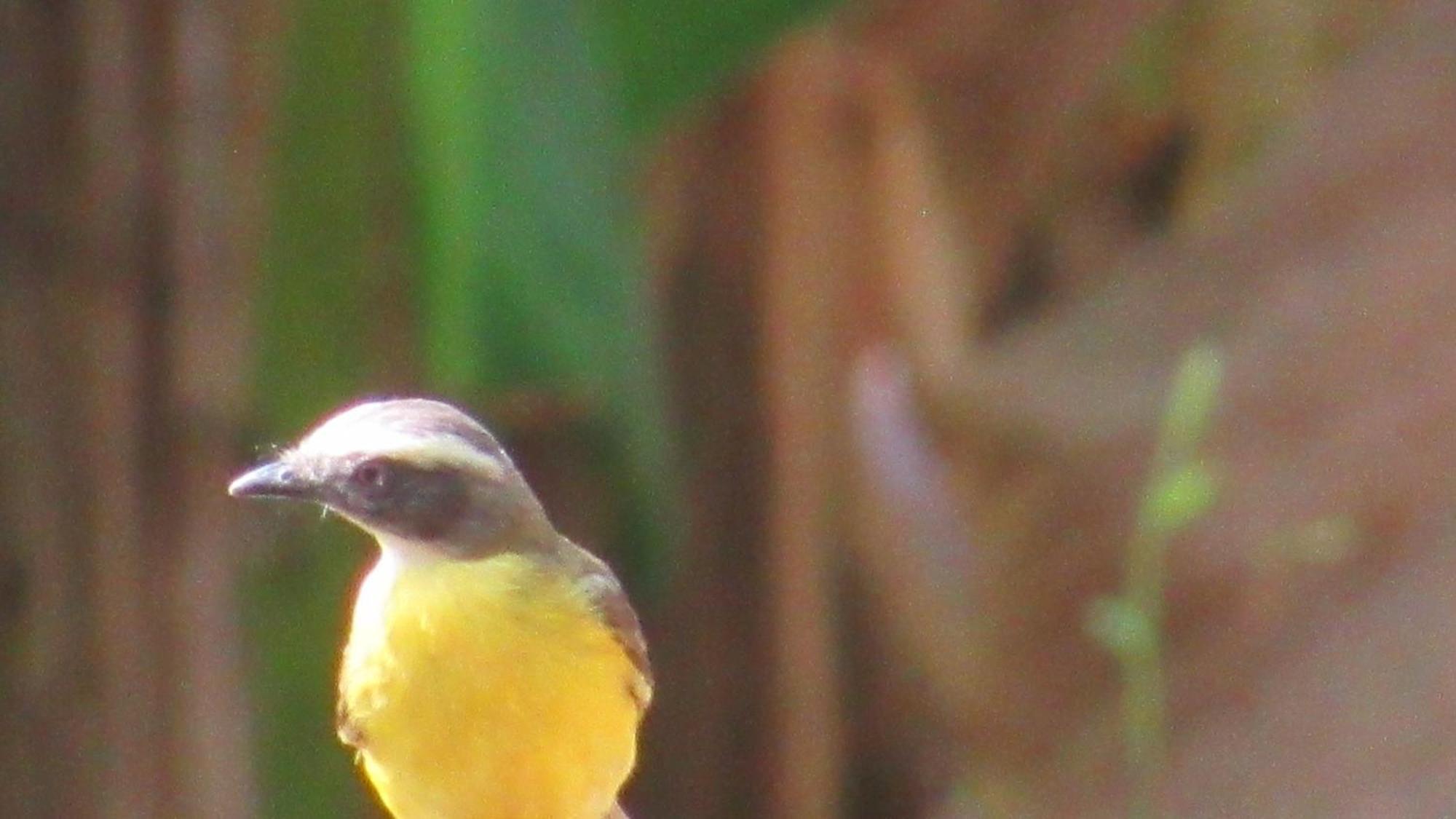 Hostal Mirador Dentro Del Parque Tayrona エル・ザイノ エクステリア 写真