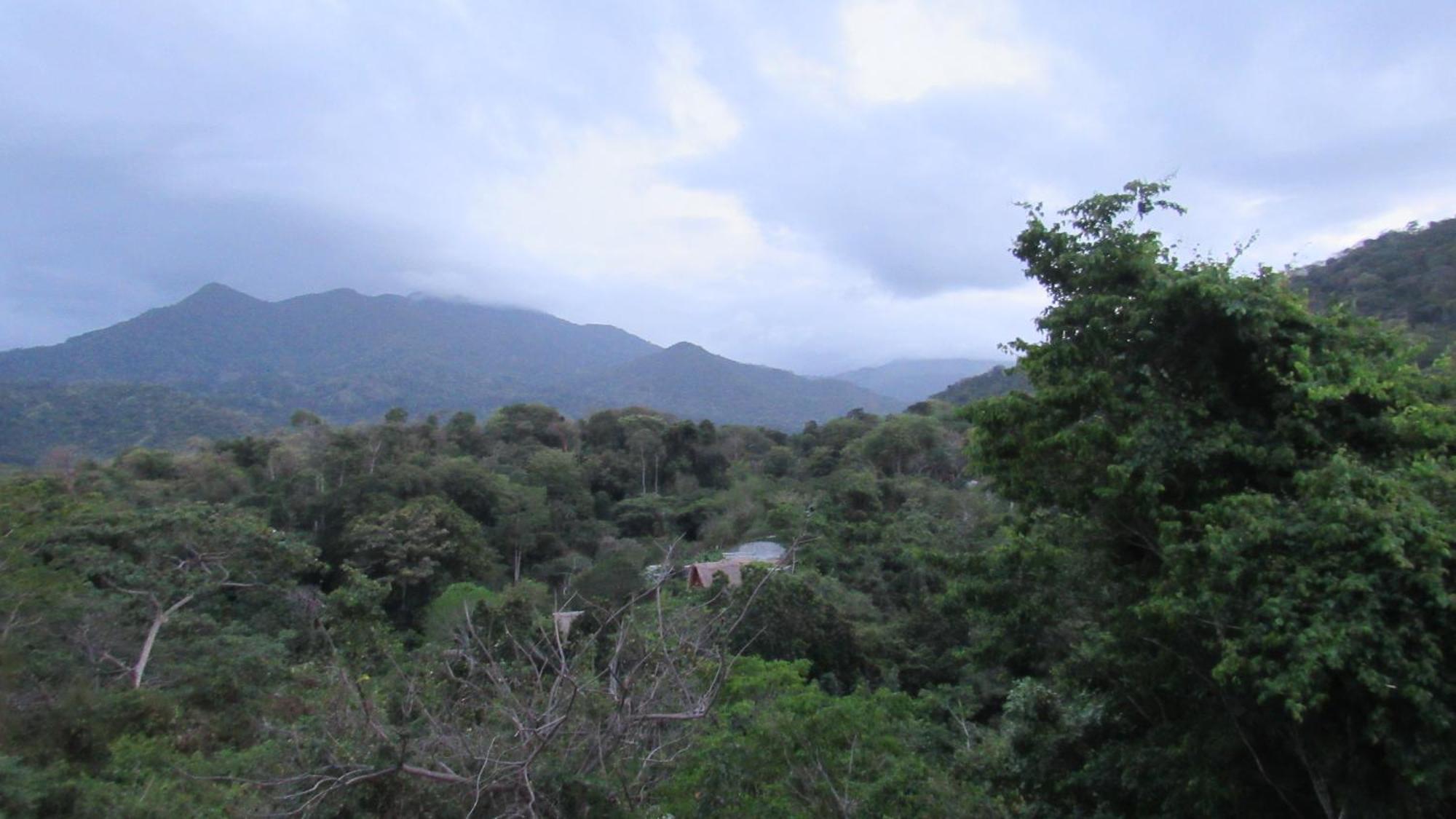 Hostal Mirador Dentro Del Parque Tayrona エル・ザイノ エクステリア 写真