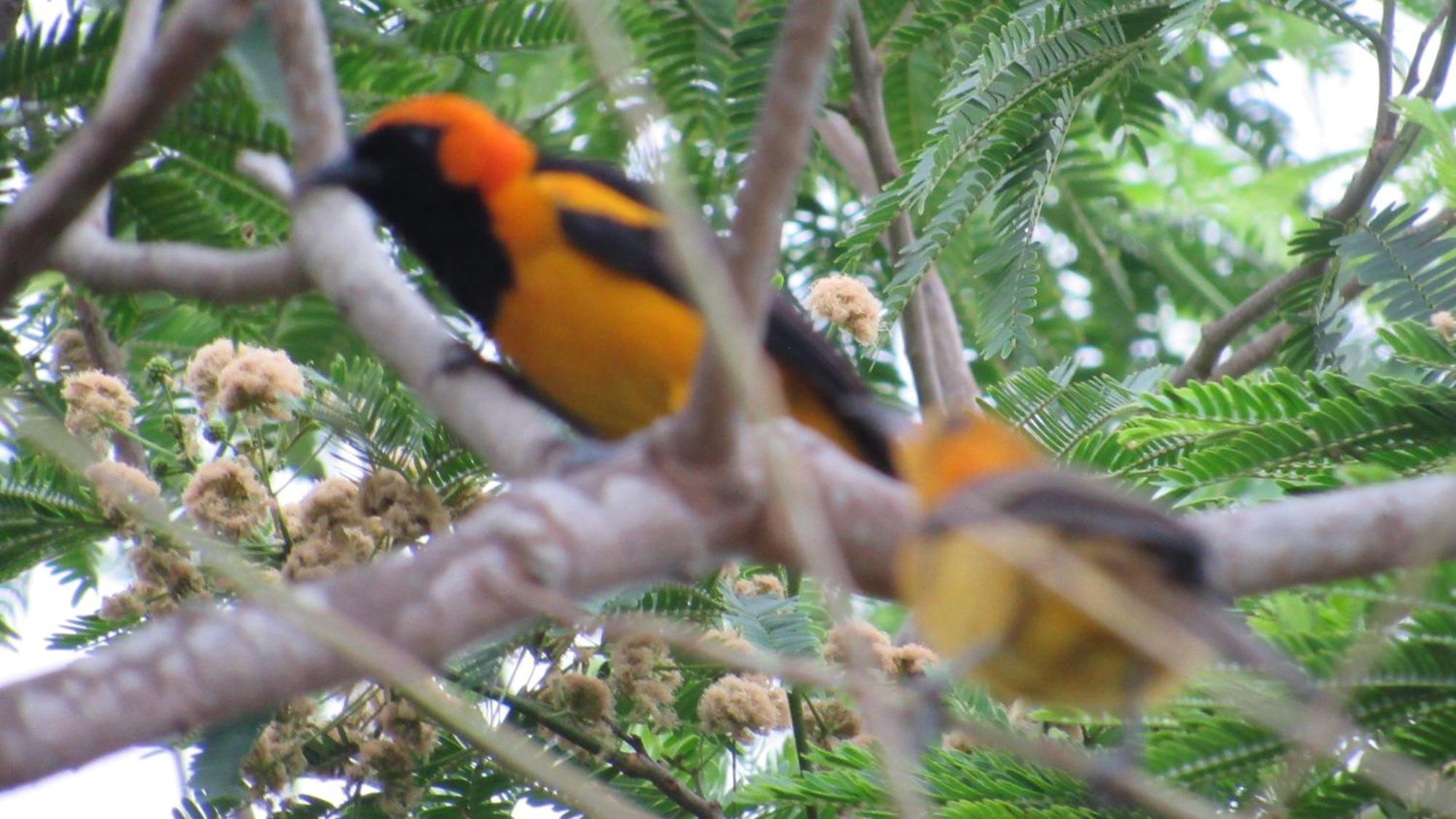 Hostal Mirador Dentro Del Parque Tayrona エル・ザイノ エクステリア 写真